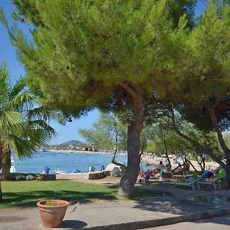 Zlata Vodice